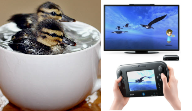 Ducklings in a Mug and Wii U Panorama View screenshot of geese.